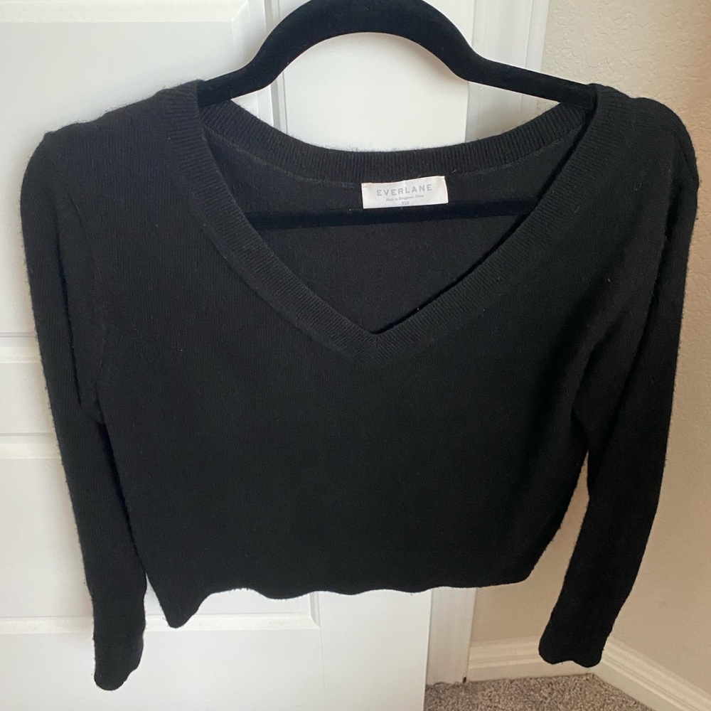 Everlane Cashmere V-neck Sweater